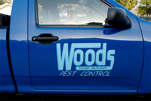 logo-on-vehicle logo-on-vehicle