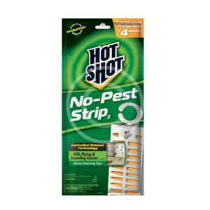 Sticky Traps for Insects
