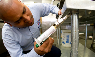 Commercial & Industrial Pest Control